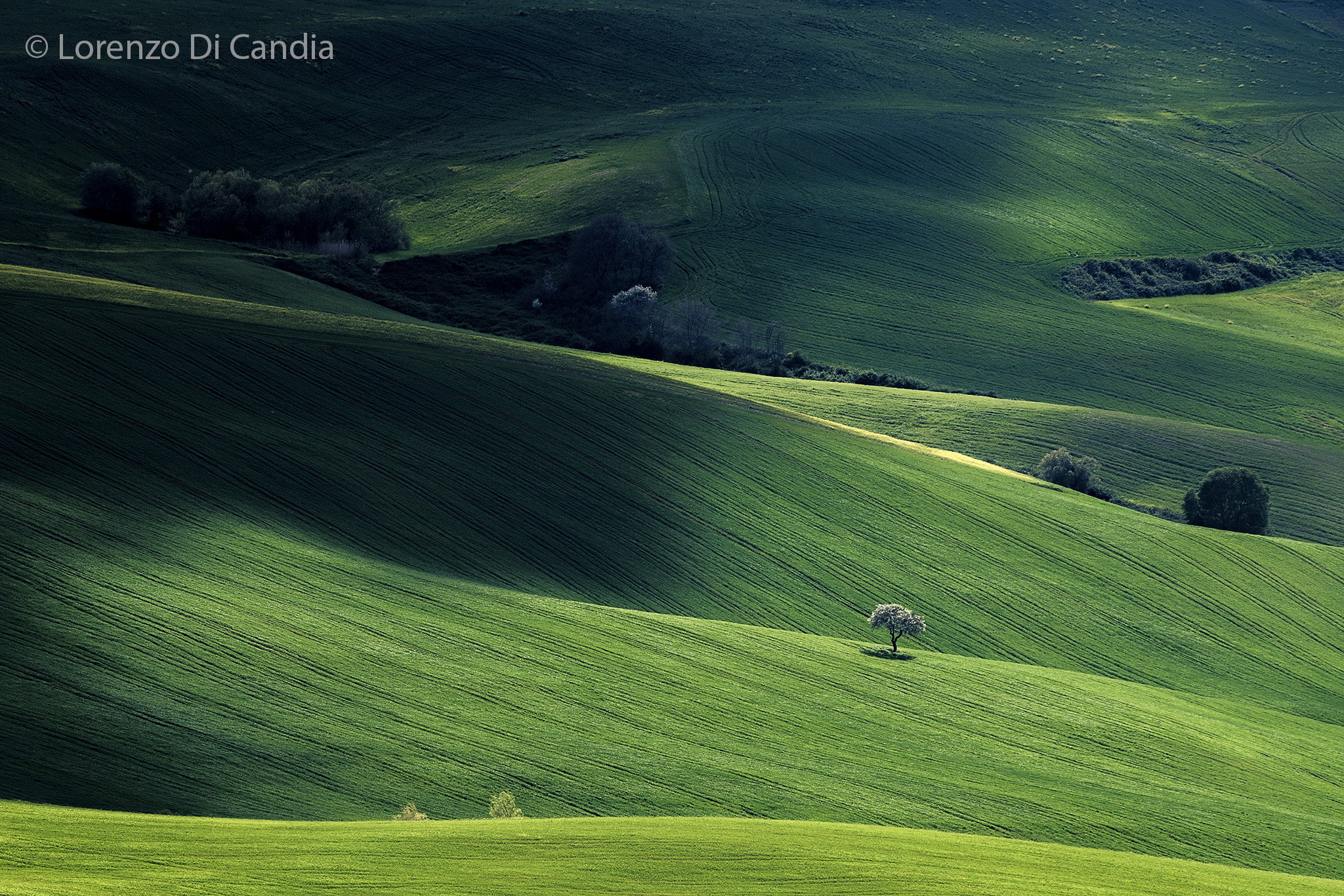 Basilicata Landscape