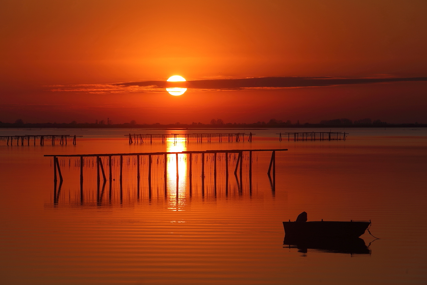 A warm HAPPY 2021. Scardovari Pocket.