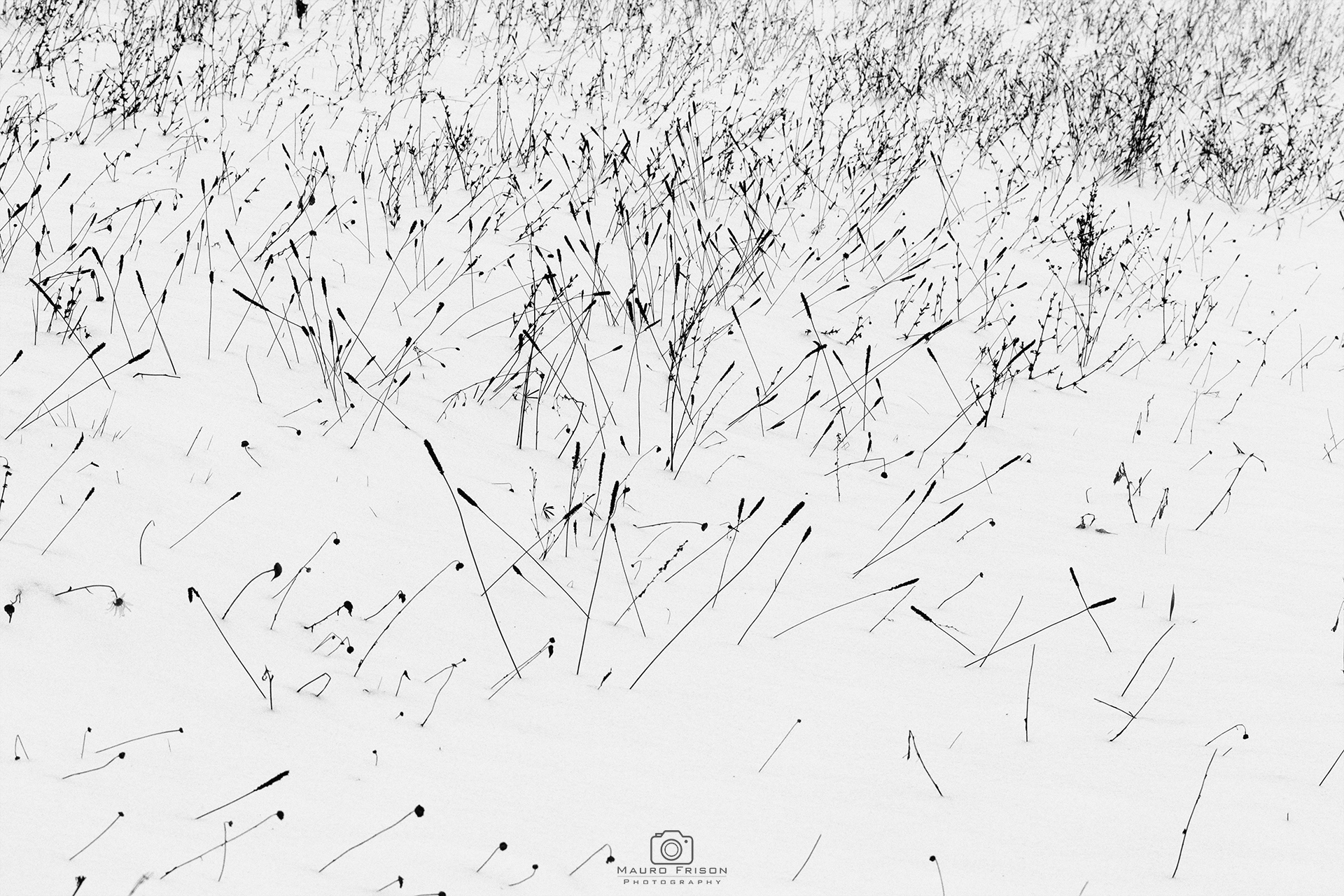 Assembramento.... in zona bianca