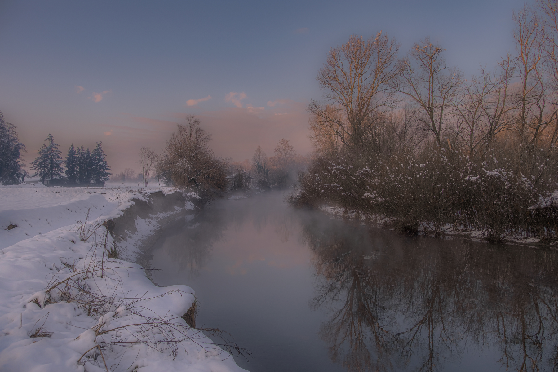river branch