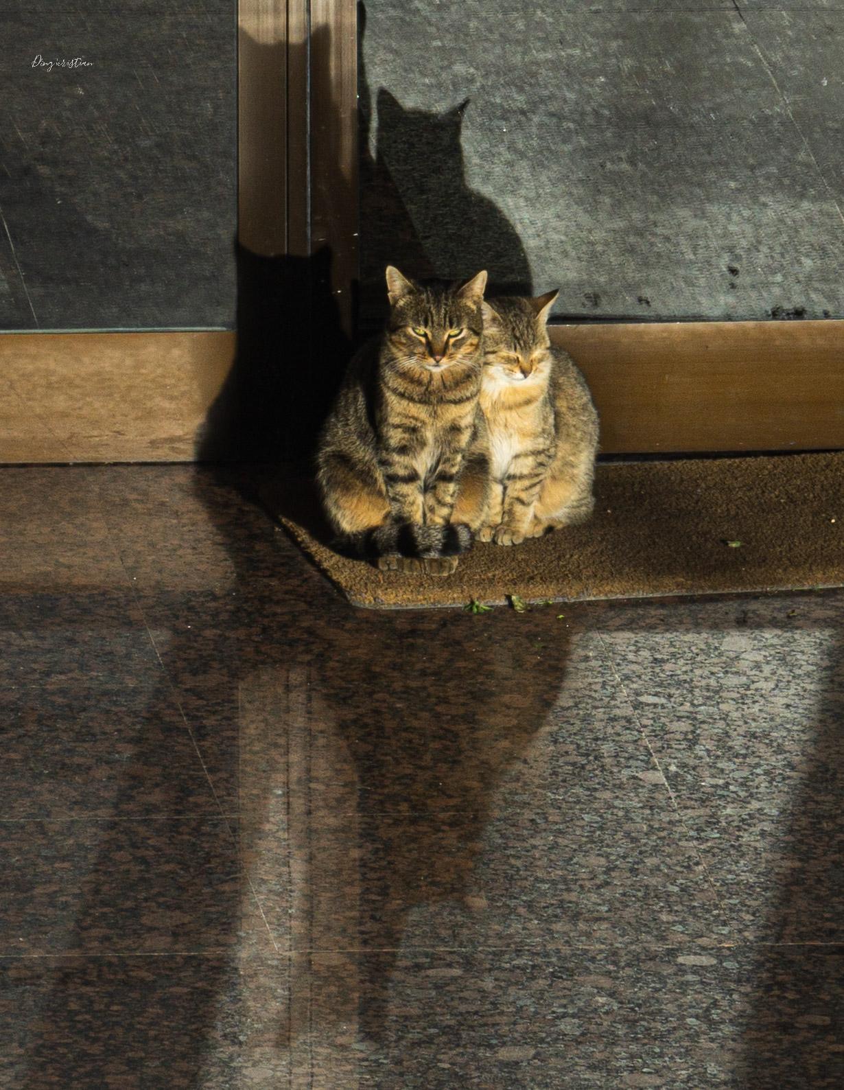 Neighbors... Neighbors