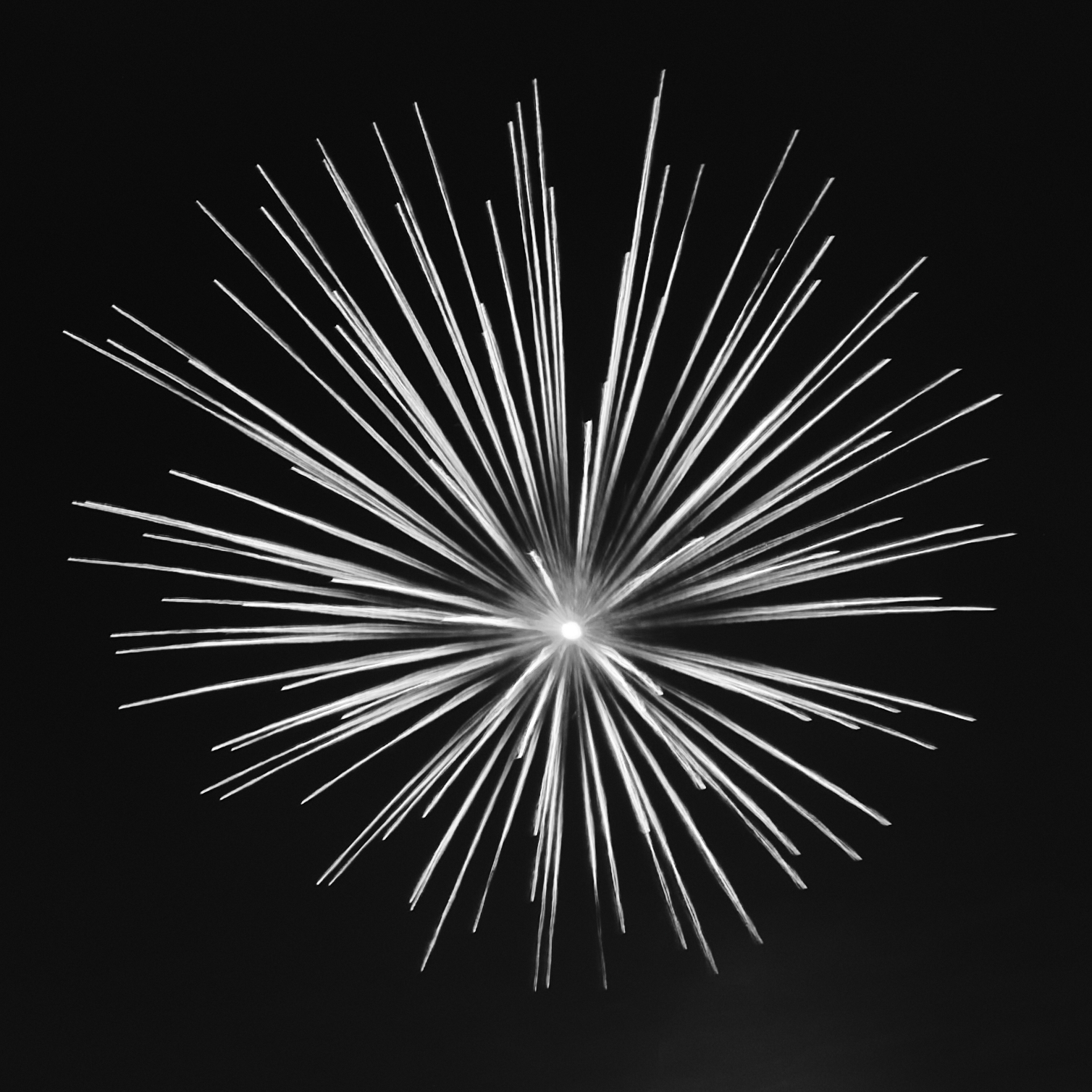 Science IS Art - Fireworks in B&W