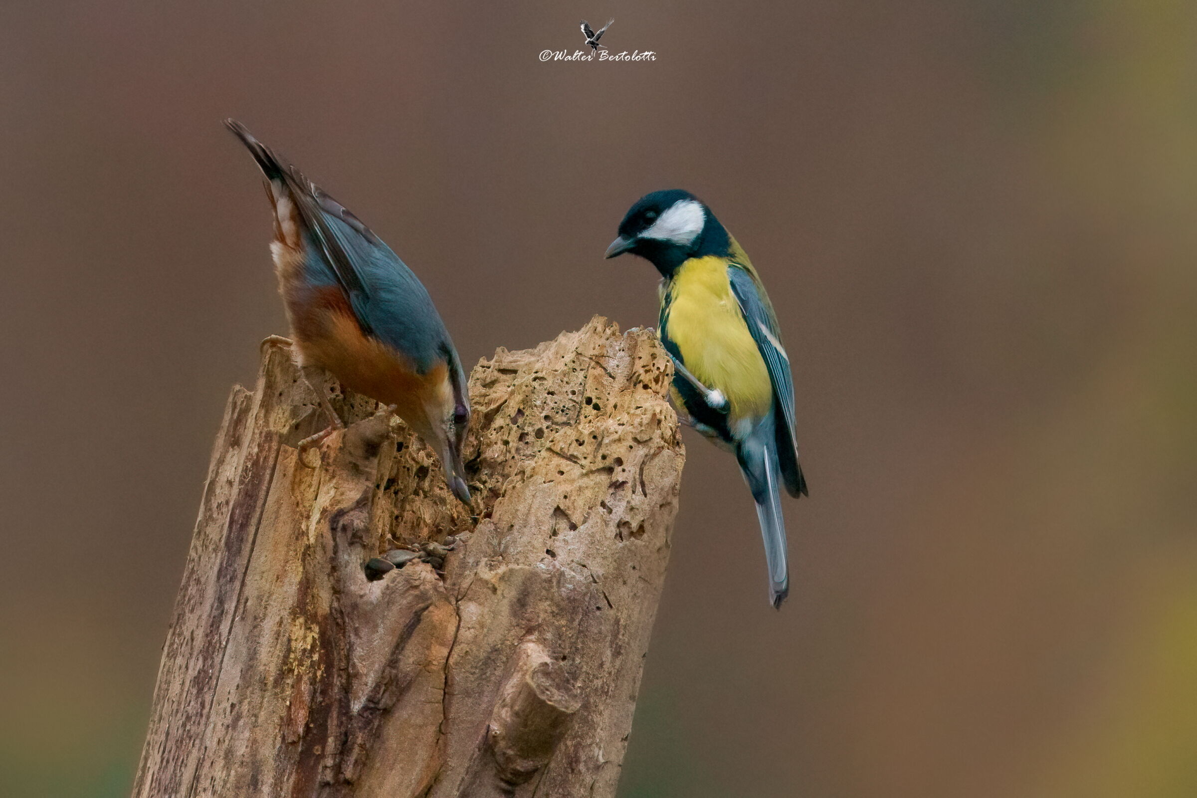 waiting for the turn