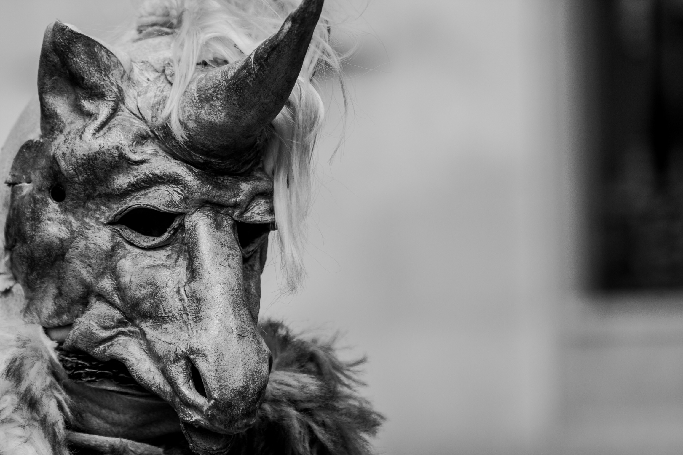 Carnival of Venice 2013