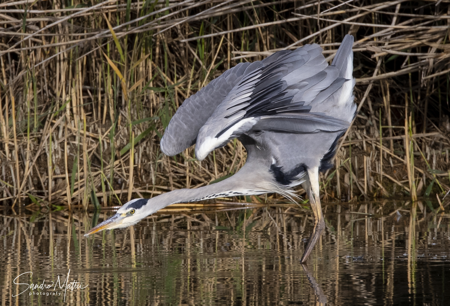 .... waiting to hit....