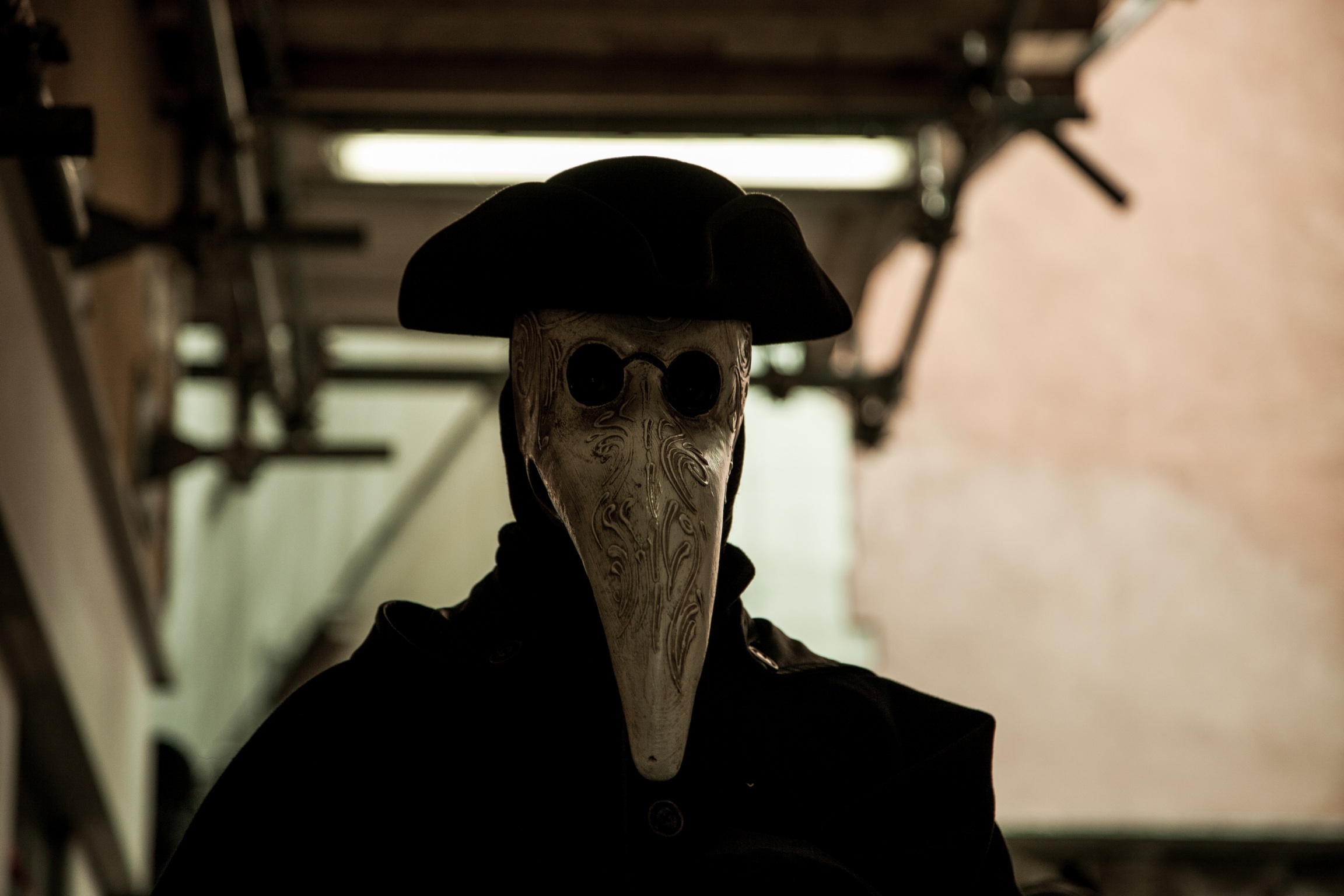 Carnival of Venice 2013