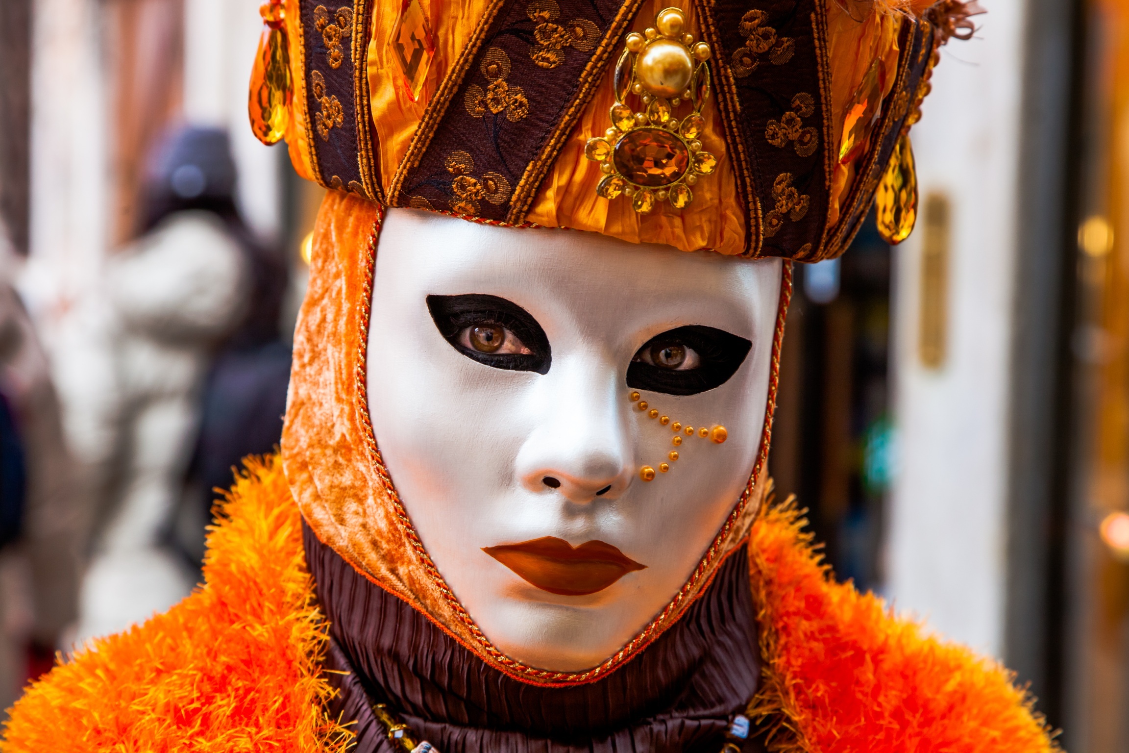 Carnival of Venice 2013
