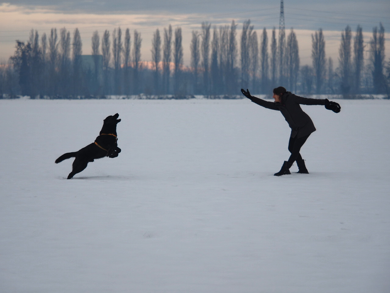 Snow and happiness
