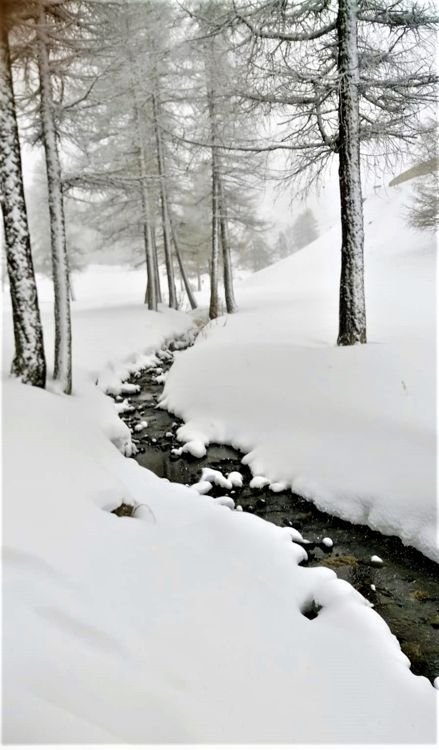 nevicata del 02.01.2021