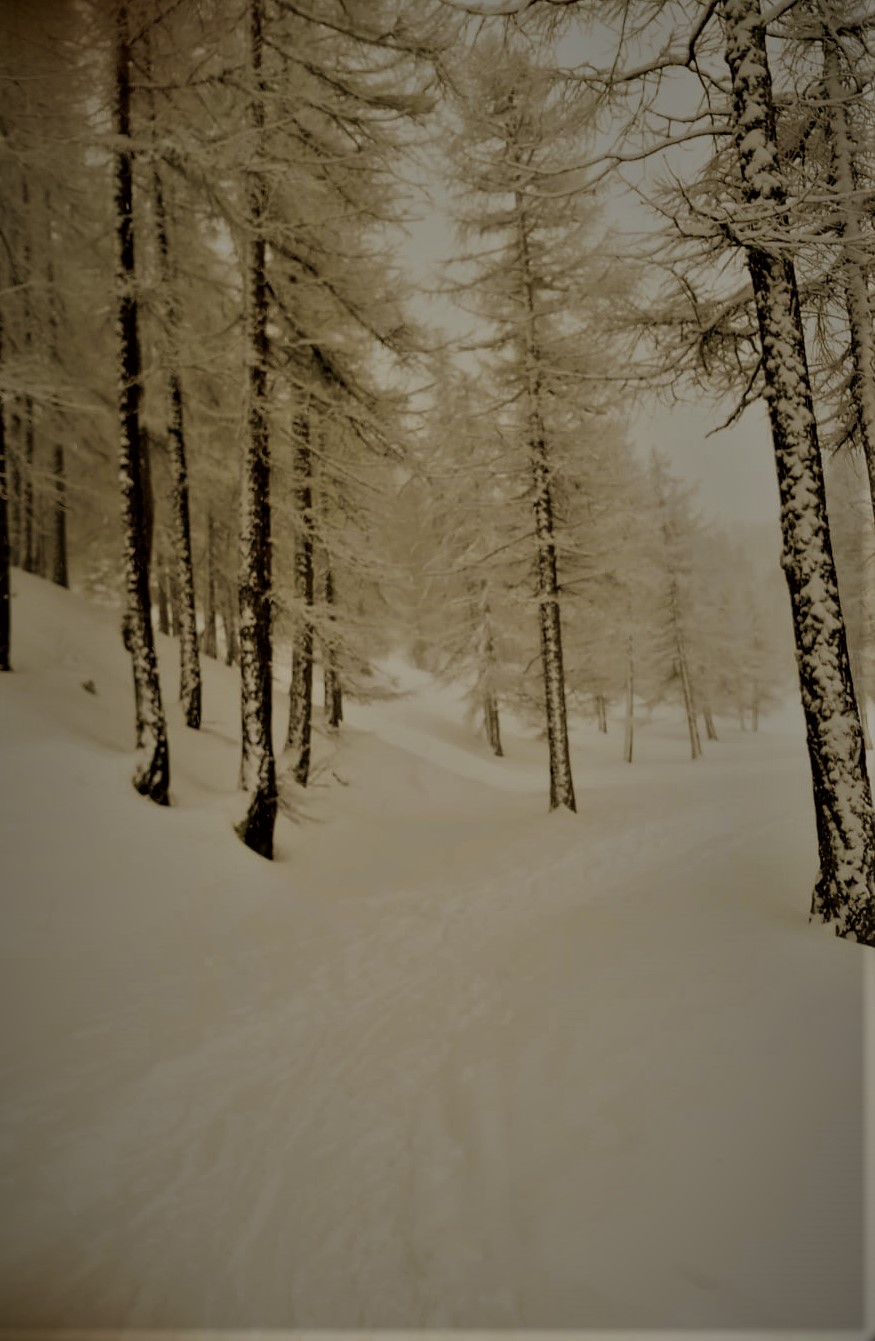 nevicata del 02.01.2021