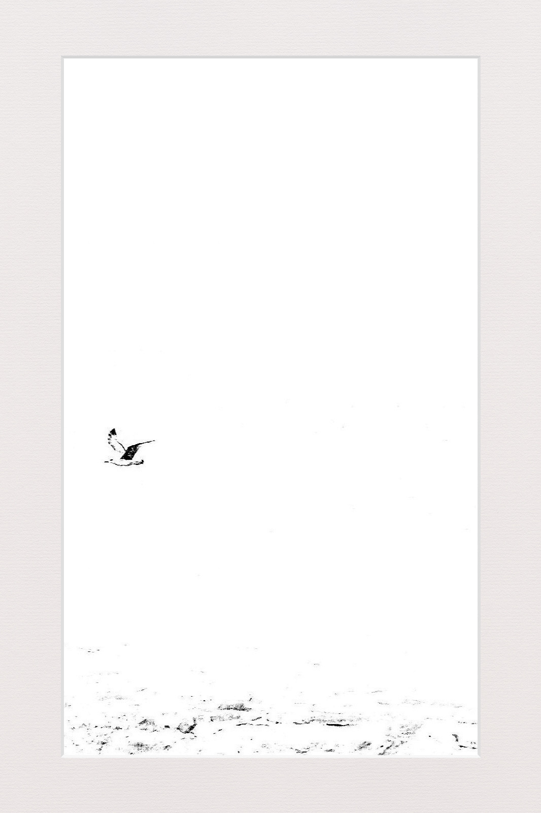 Untitled Photo
