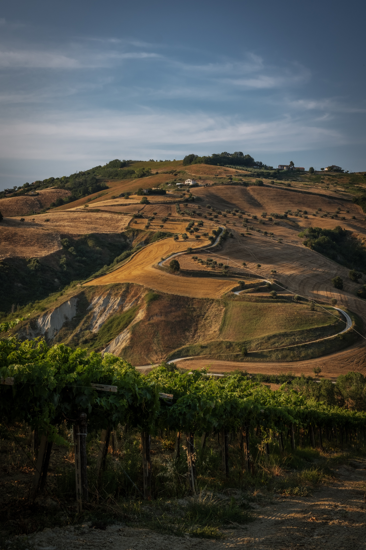 Colline Abruzzesi
