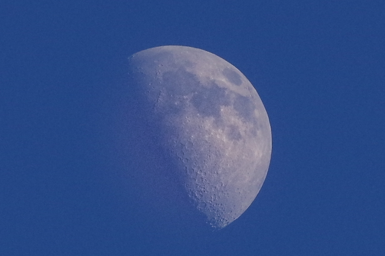 Mezza luna serale