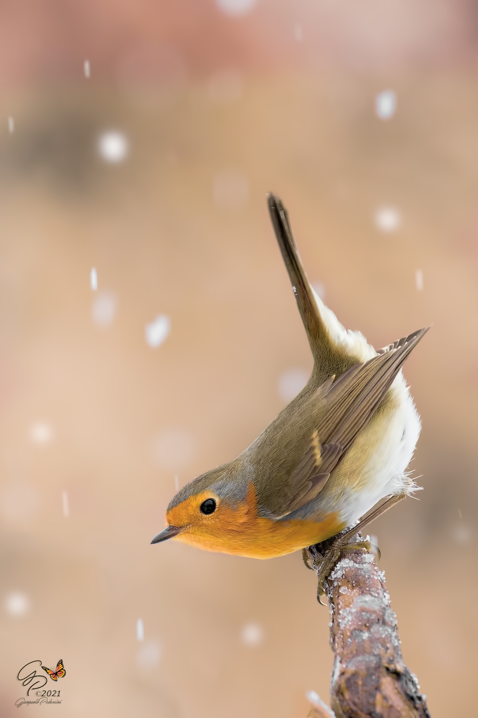 The snow has arrived