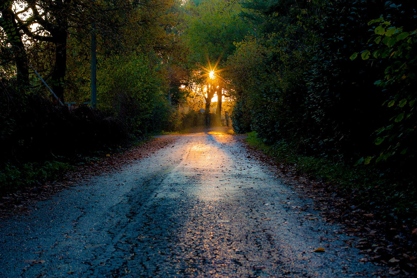 Verso una nuova luce