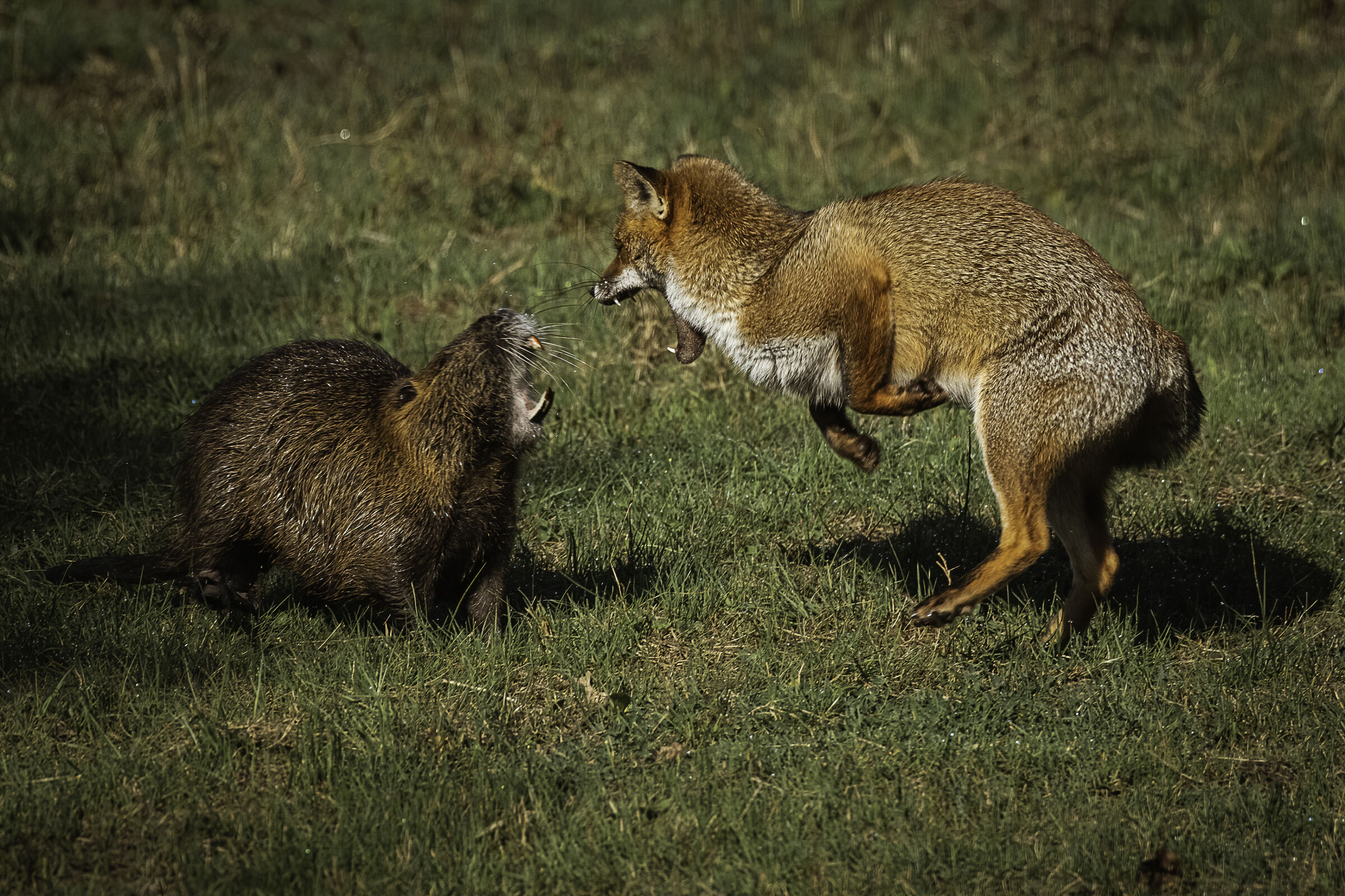 Questioni di territorio