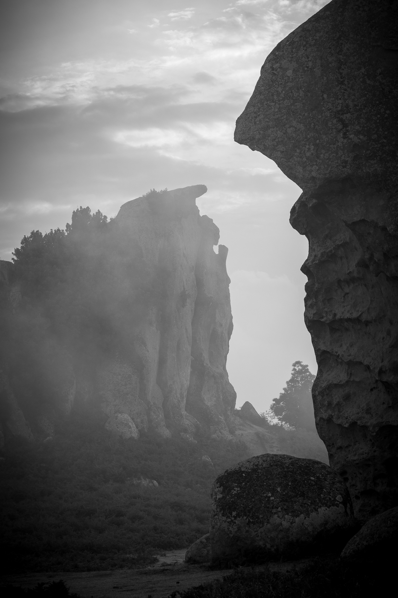Visioni nella nebbia