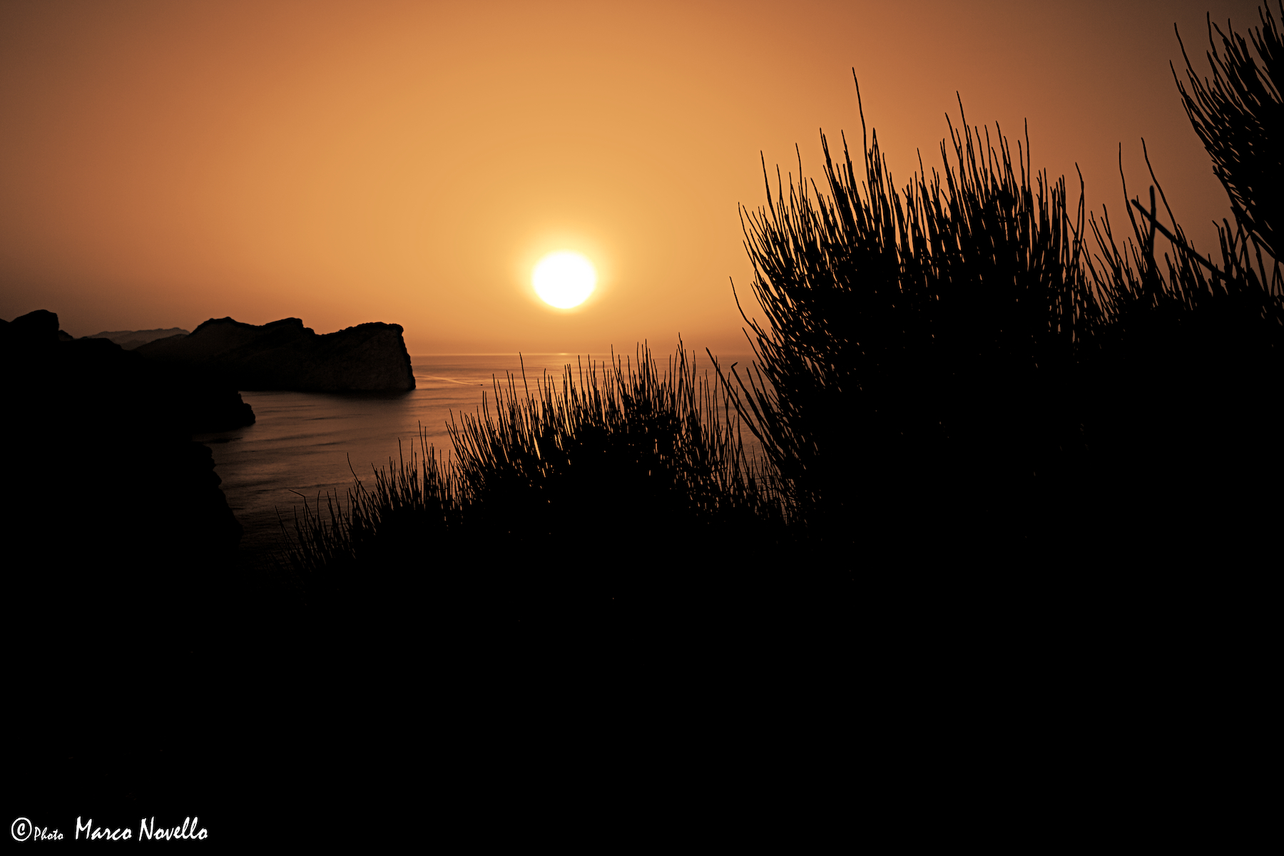 Silhouette al tramonto