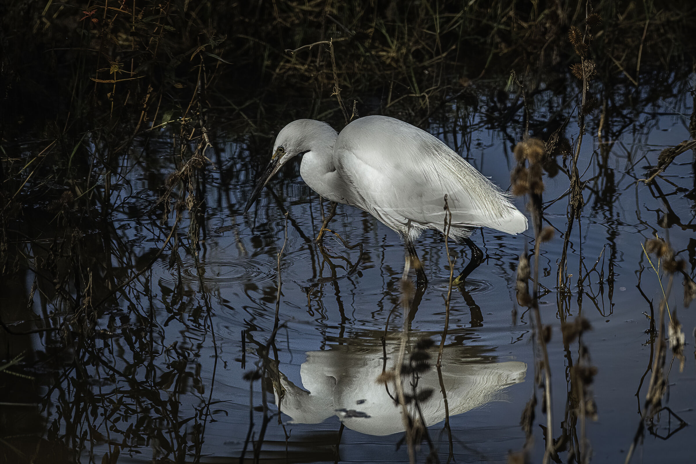 Il buco nell'acqua