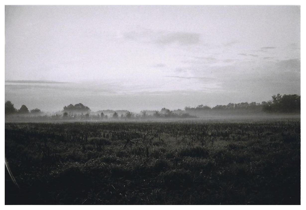 Legnano, Parco Alto Milanese (2020)