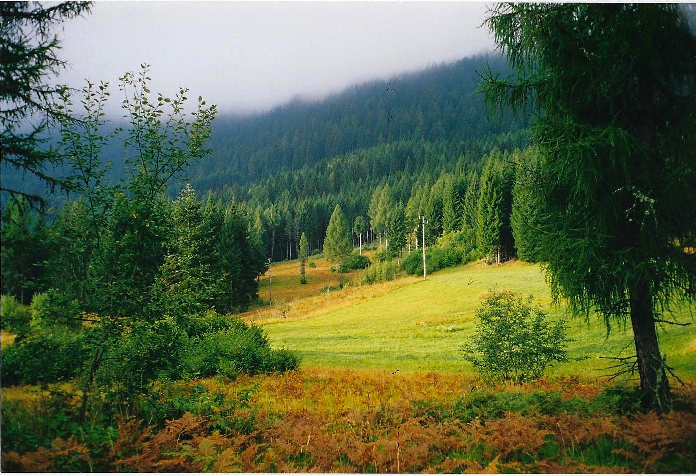 Cinte Tesino, Trentino