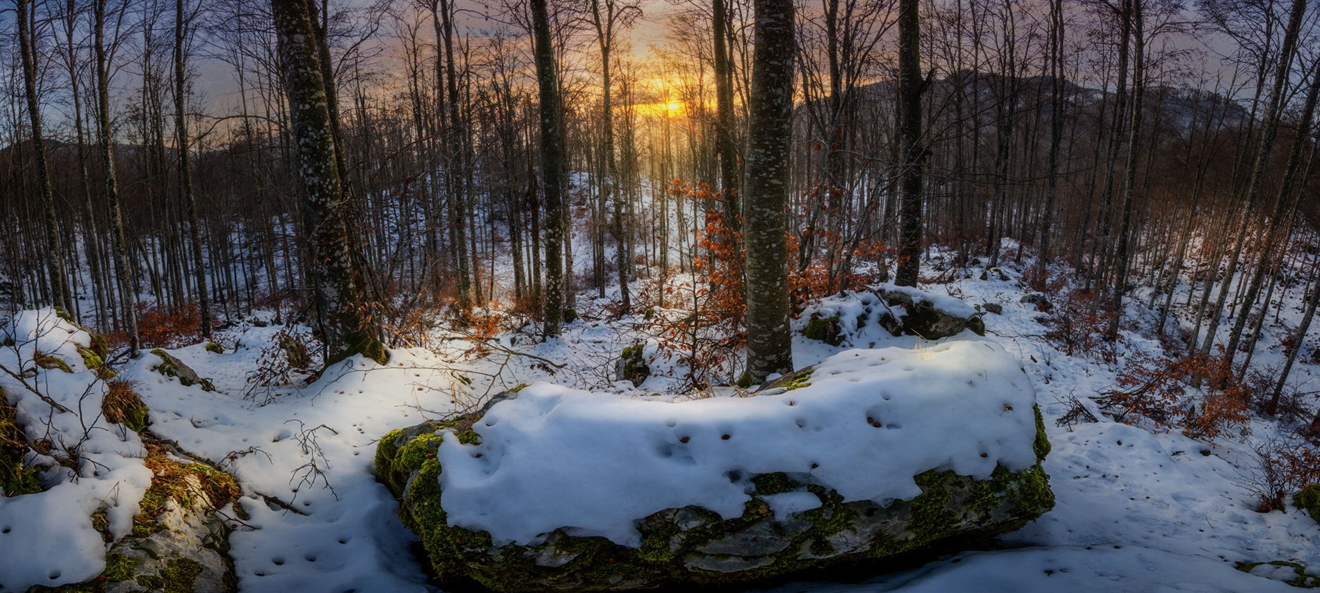 Tramonto nel Bosco del Cansiglio