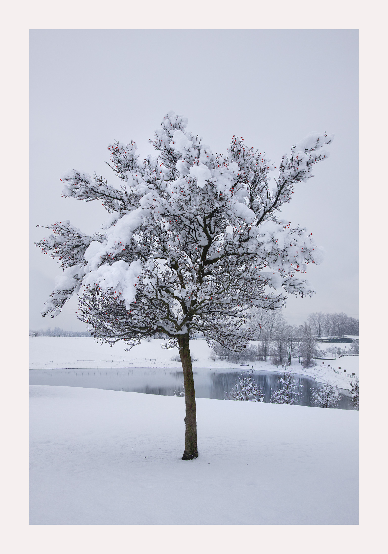 Neve