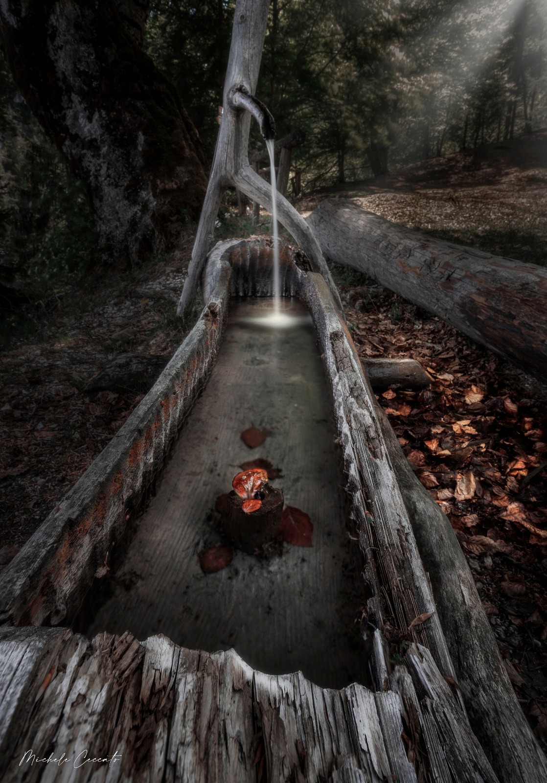 Fountain