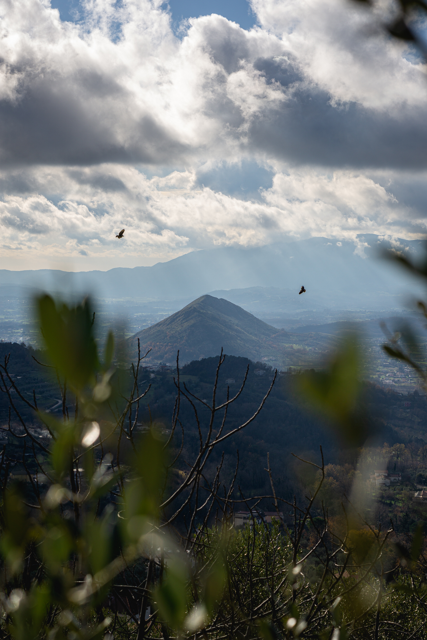 The Mountains of Home