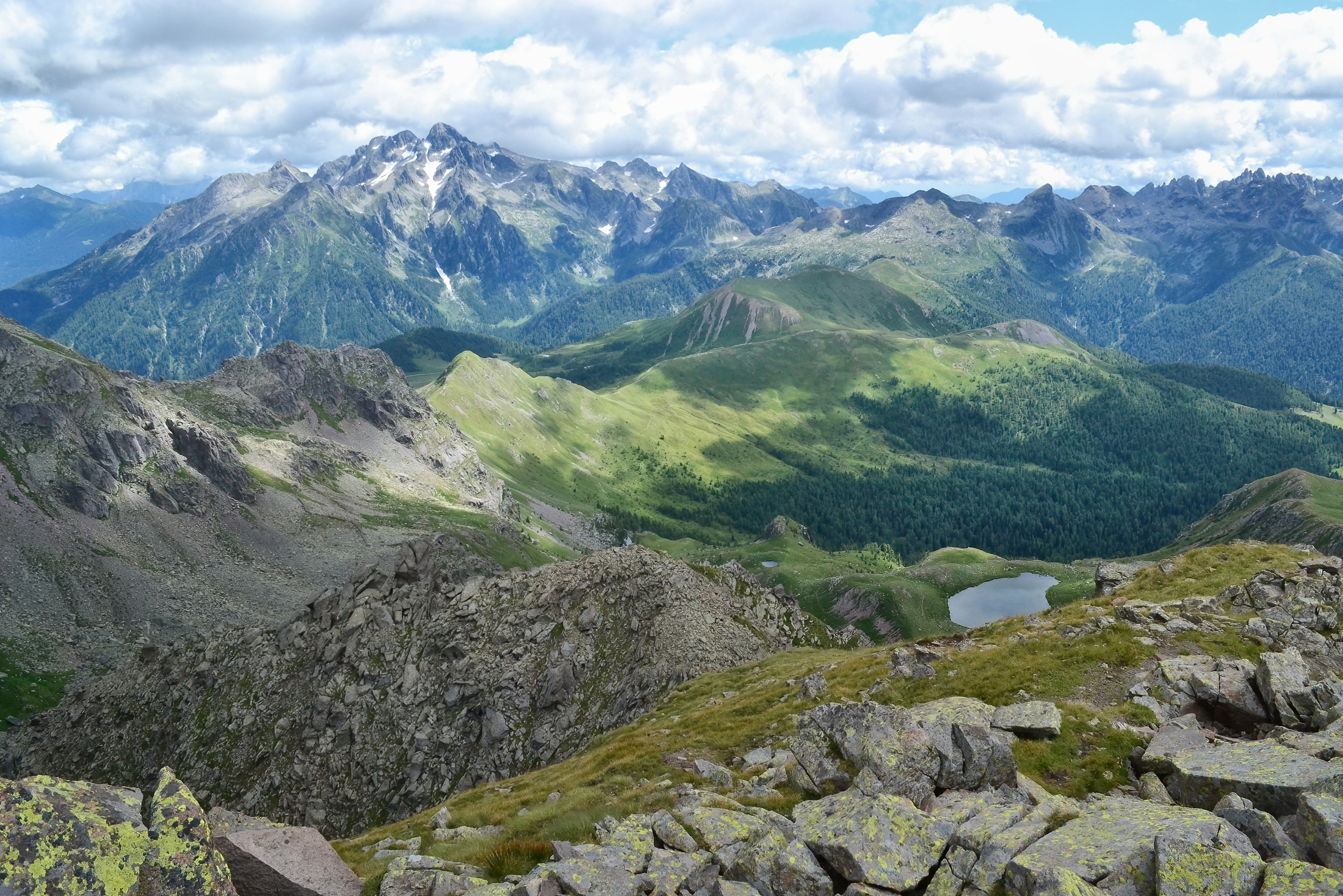 Cima D'Asta view from top Stellune