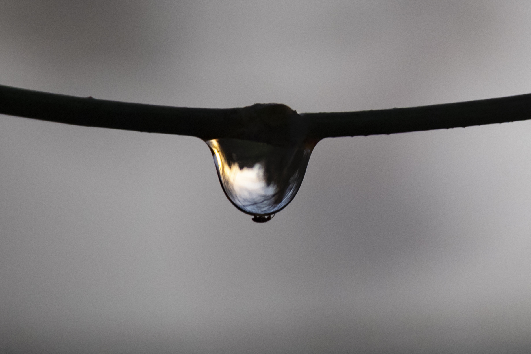 Passeggiata sulla goccia