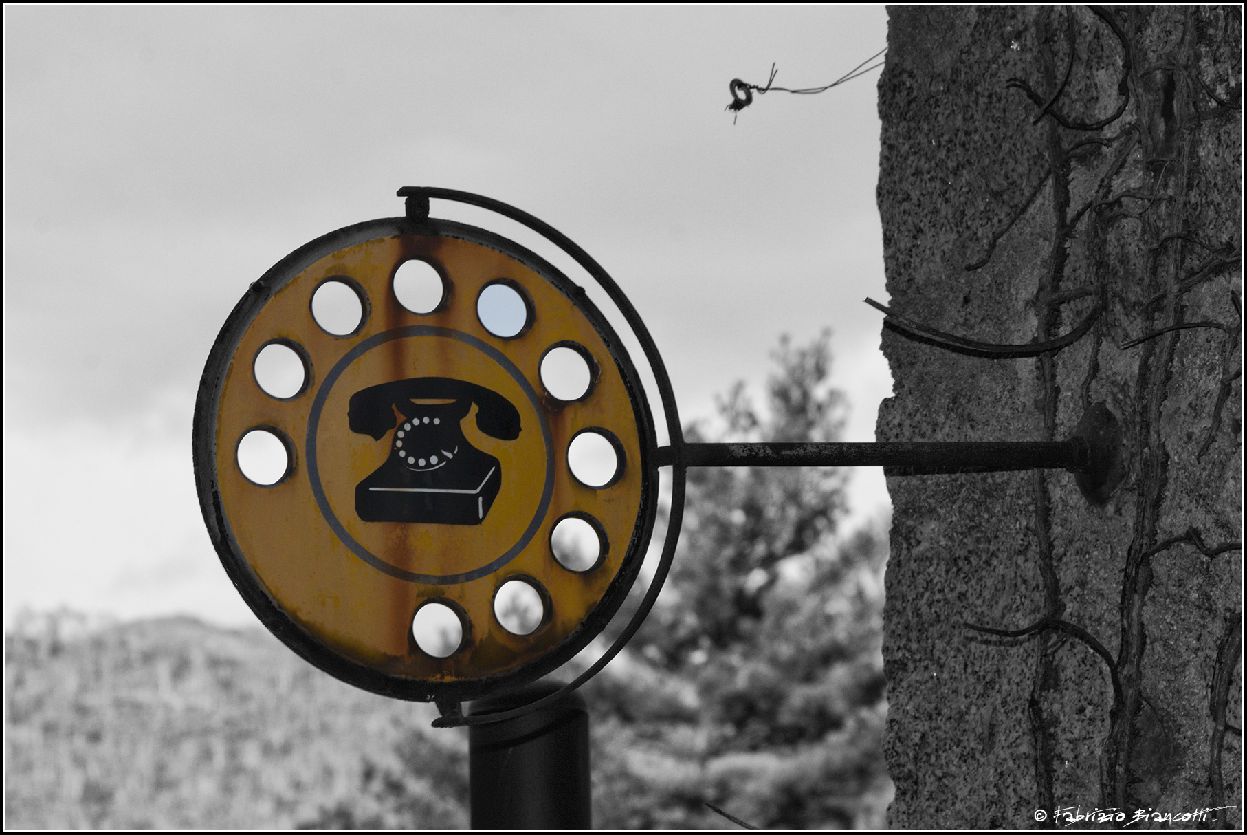 Memories of a not too distant past