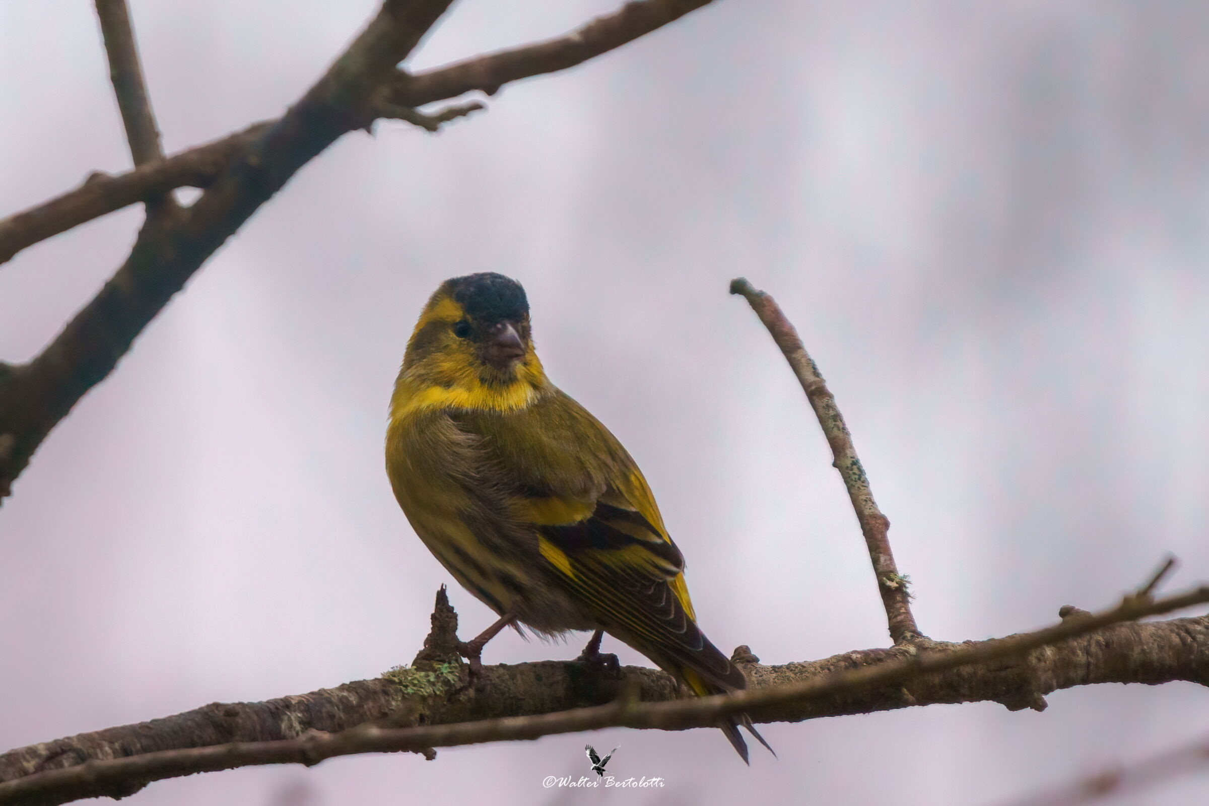 let's check who's there