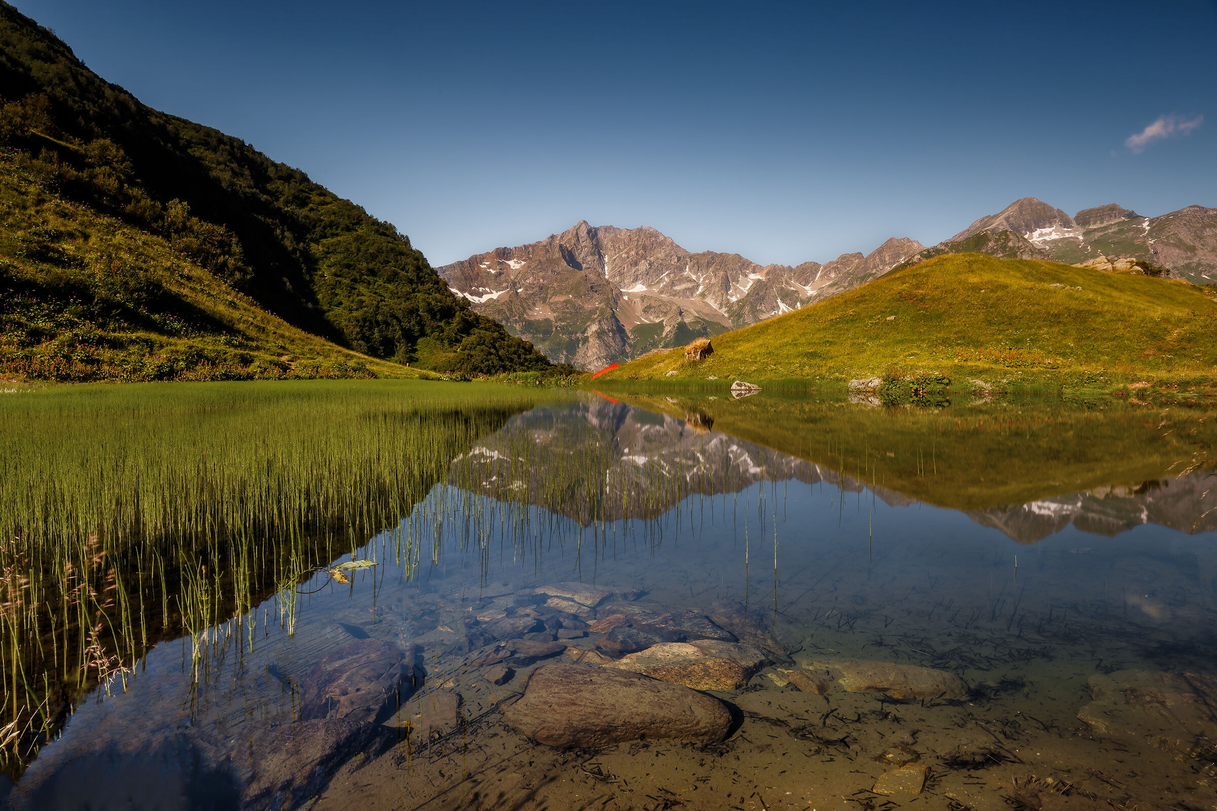 Trasparenze e riflessi