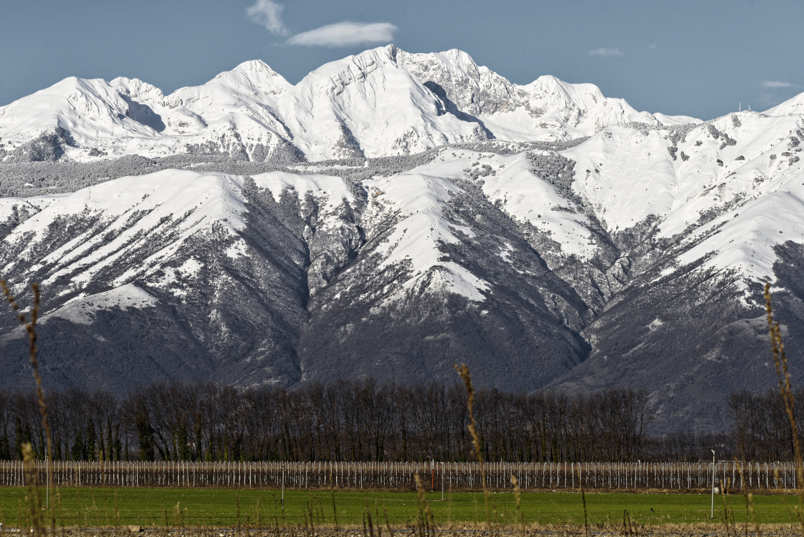 Pordenonesi Prealps (Cima Manera)