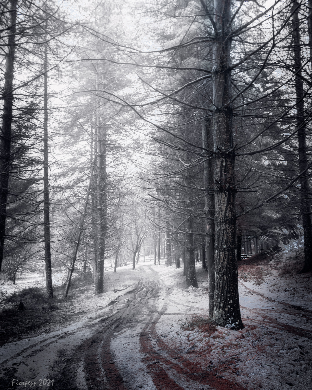 Mount Santa Lucerne-Grimaldi (cs)