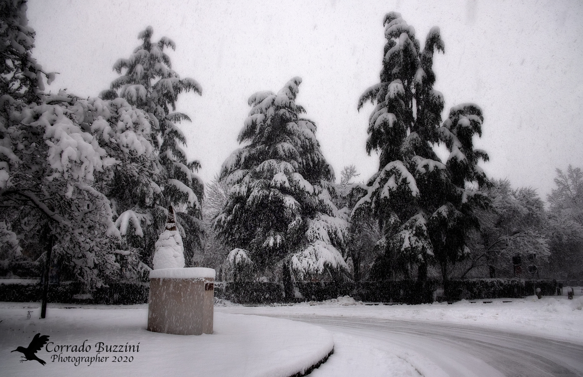 Gorgonzola dicembre 2020