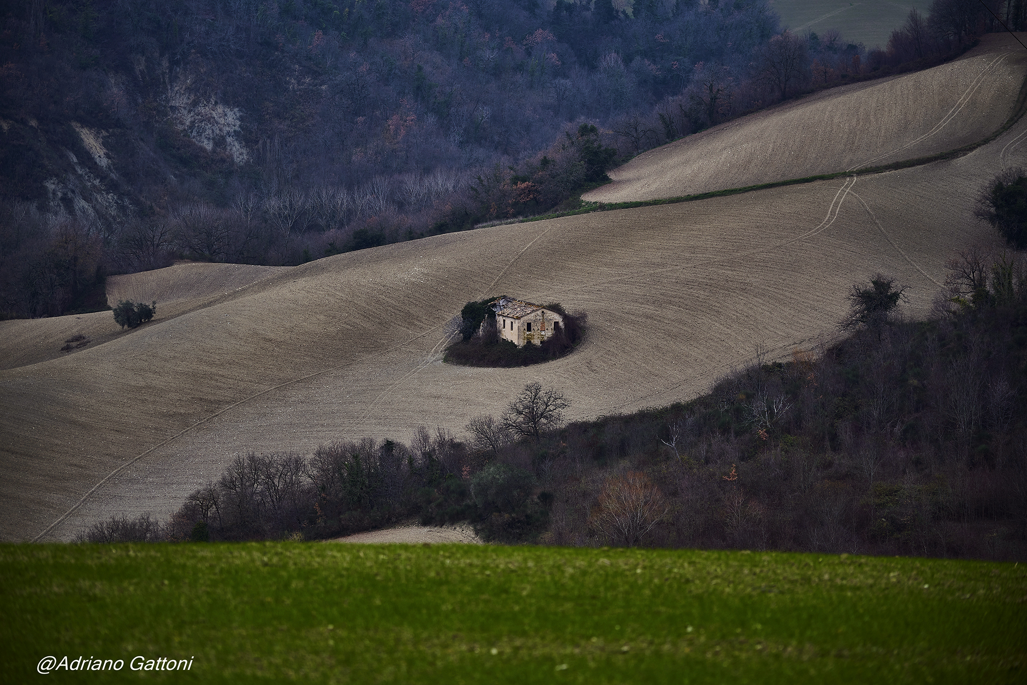 Colline pesaresi ... la casa