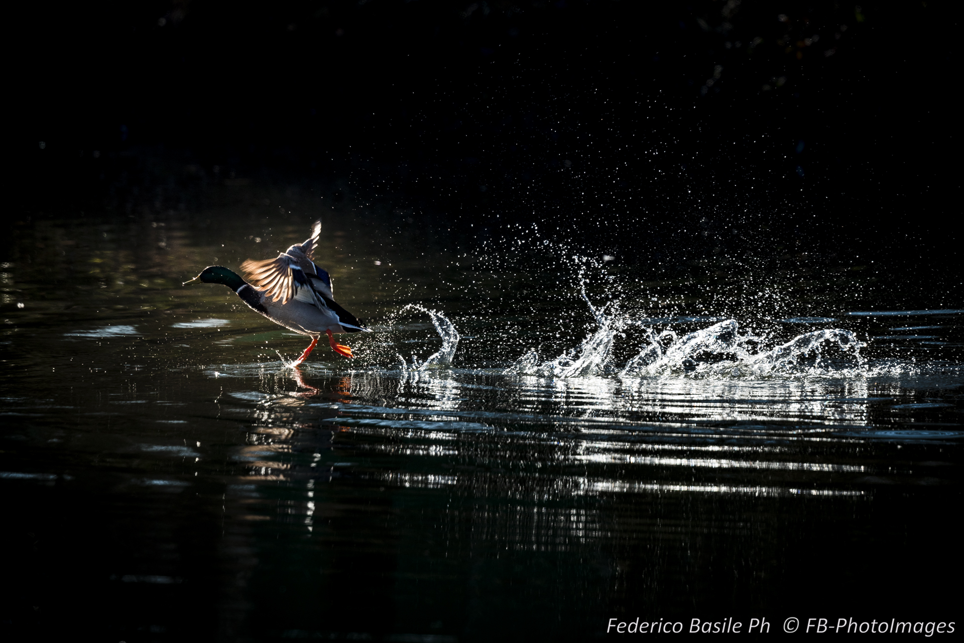 Takeoff