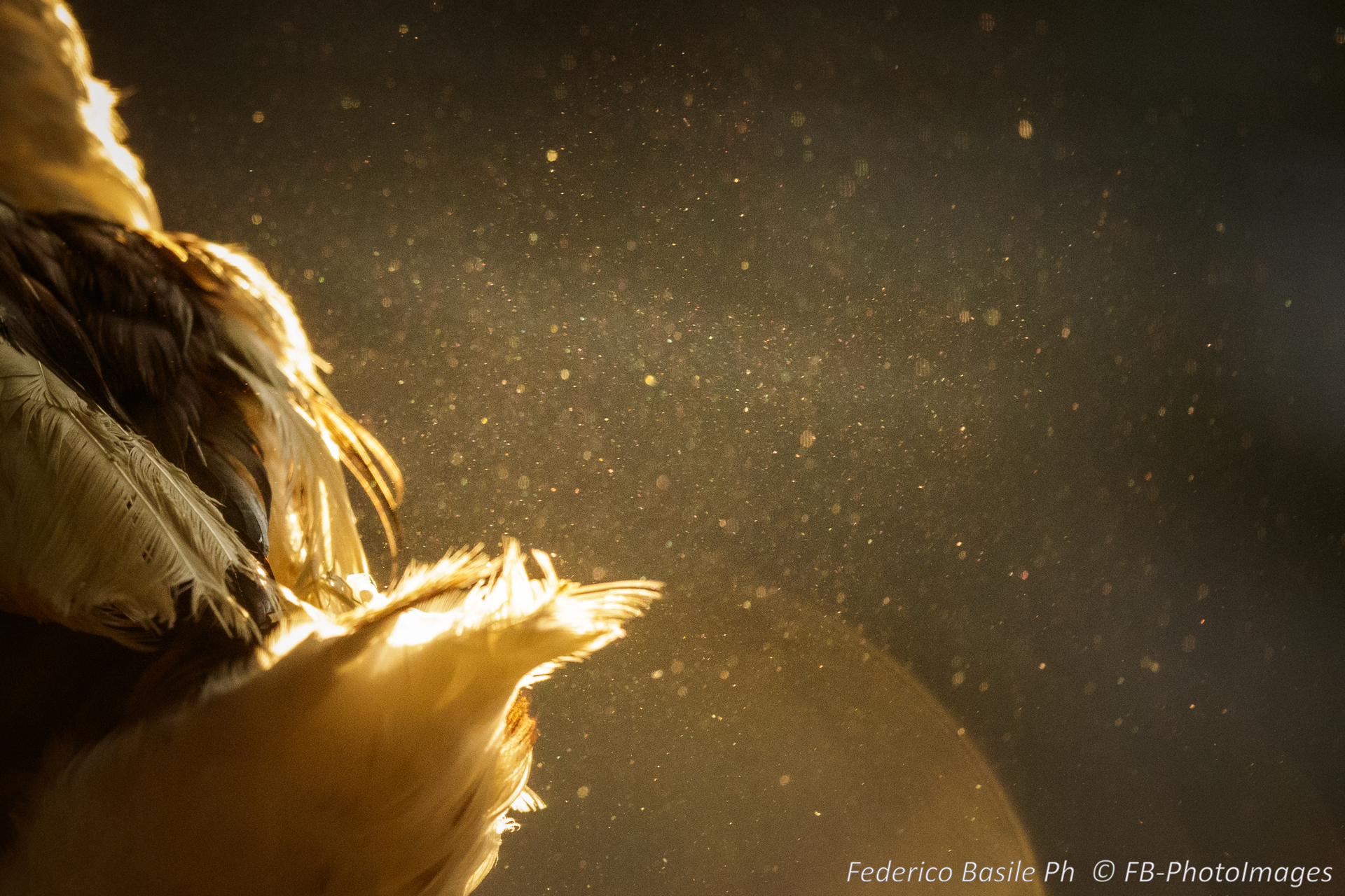 Dust....
