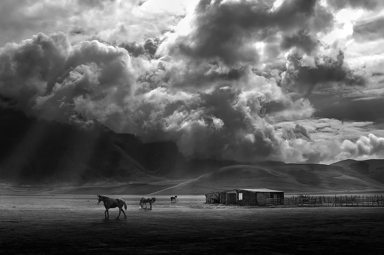 Piana di Castelluccio