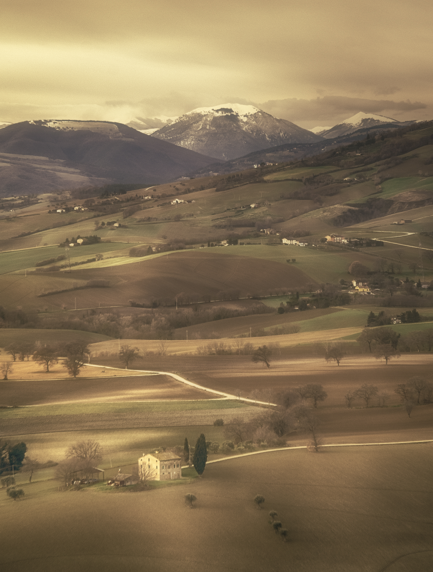 Untitled Photo