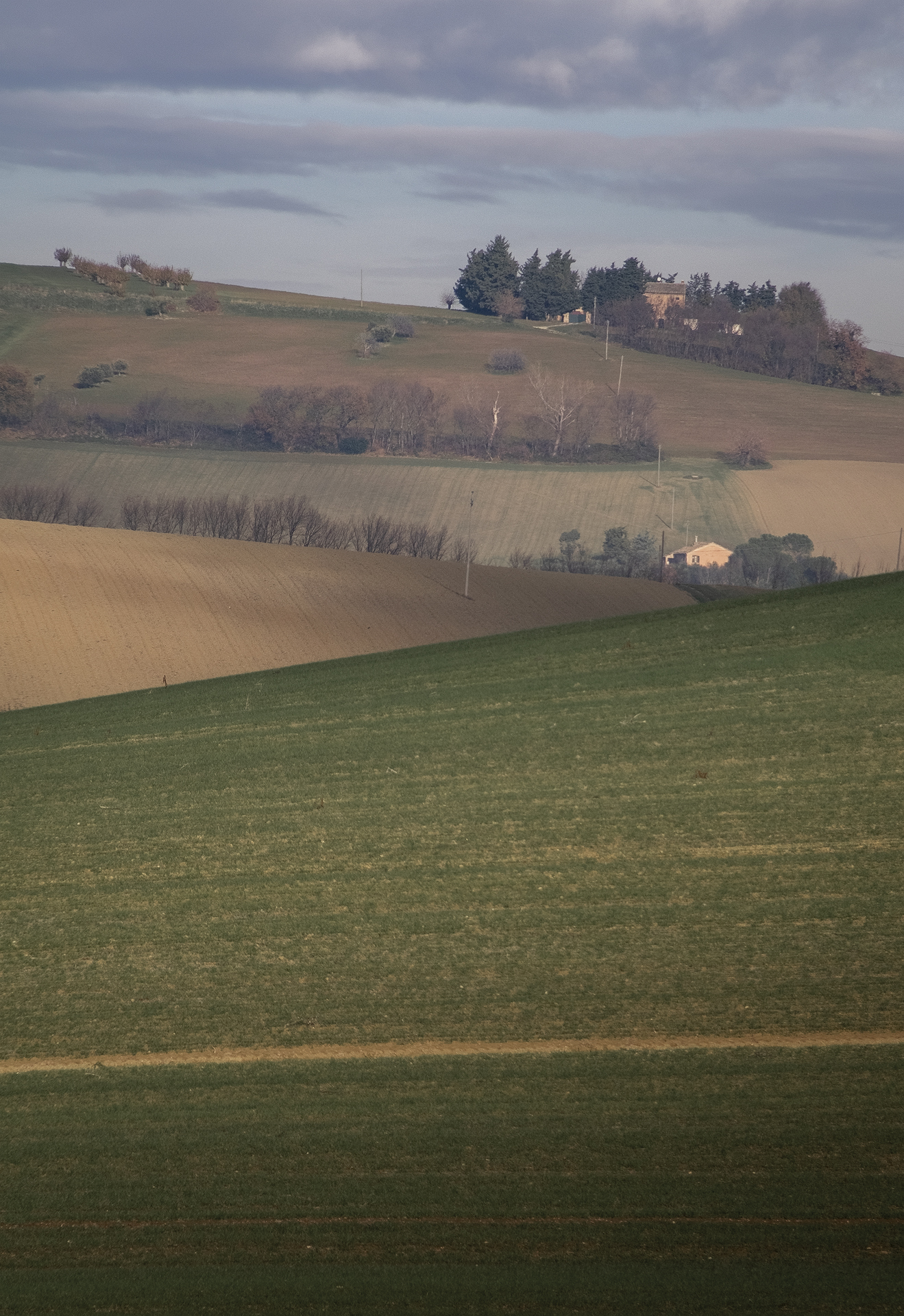 Untitled Photo