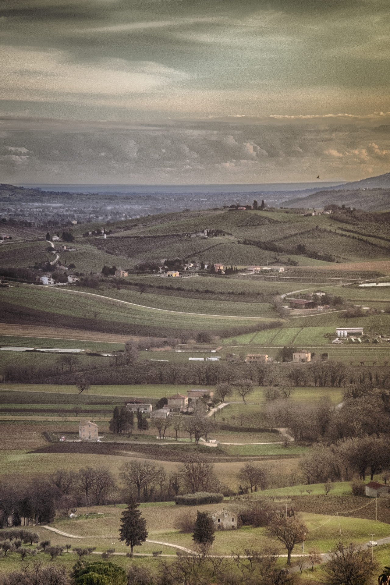 Untitled Photo