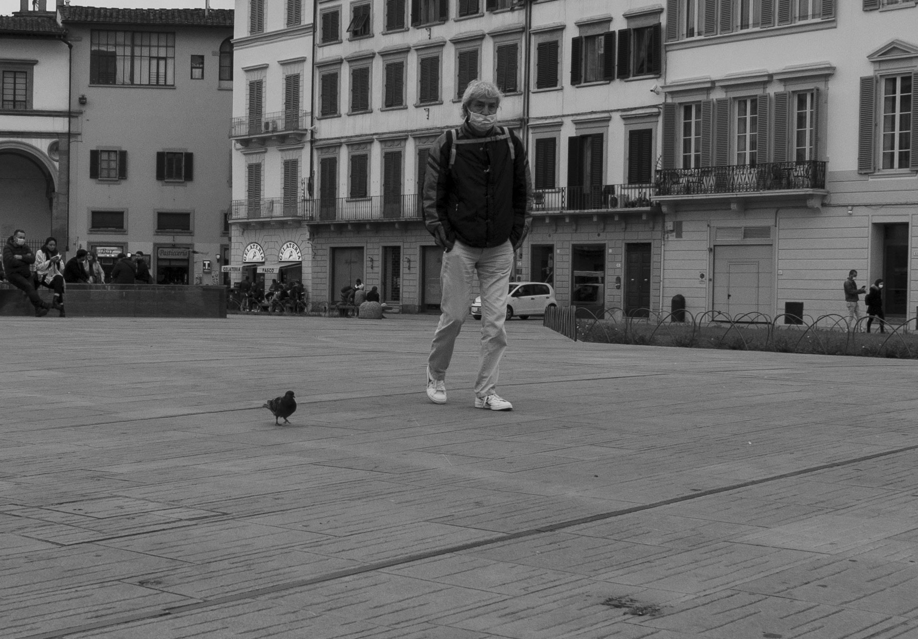 walking with the pigeon