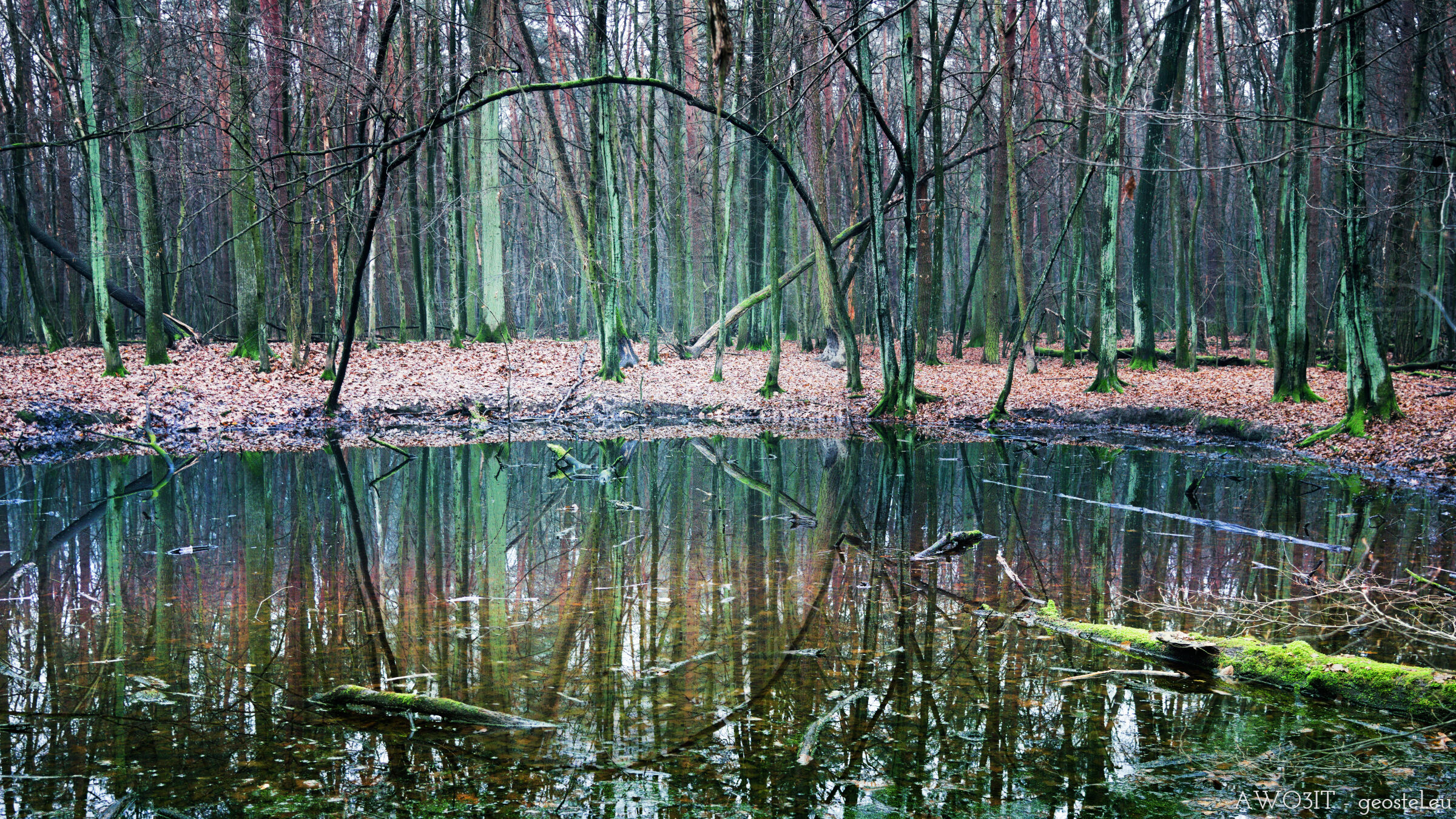 Dove porta o quando?