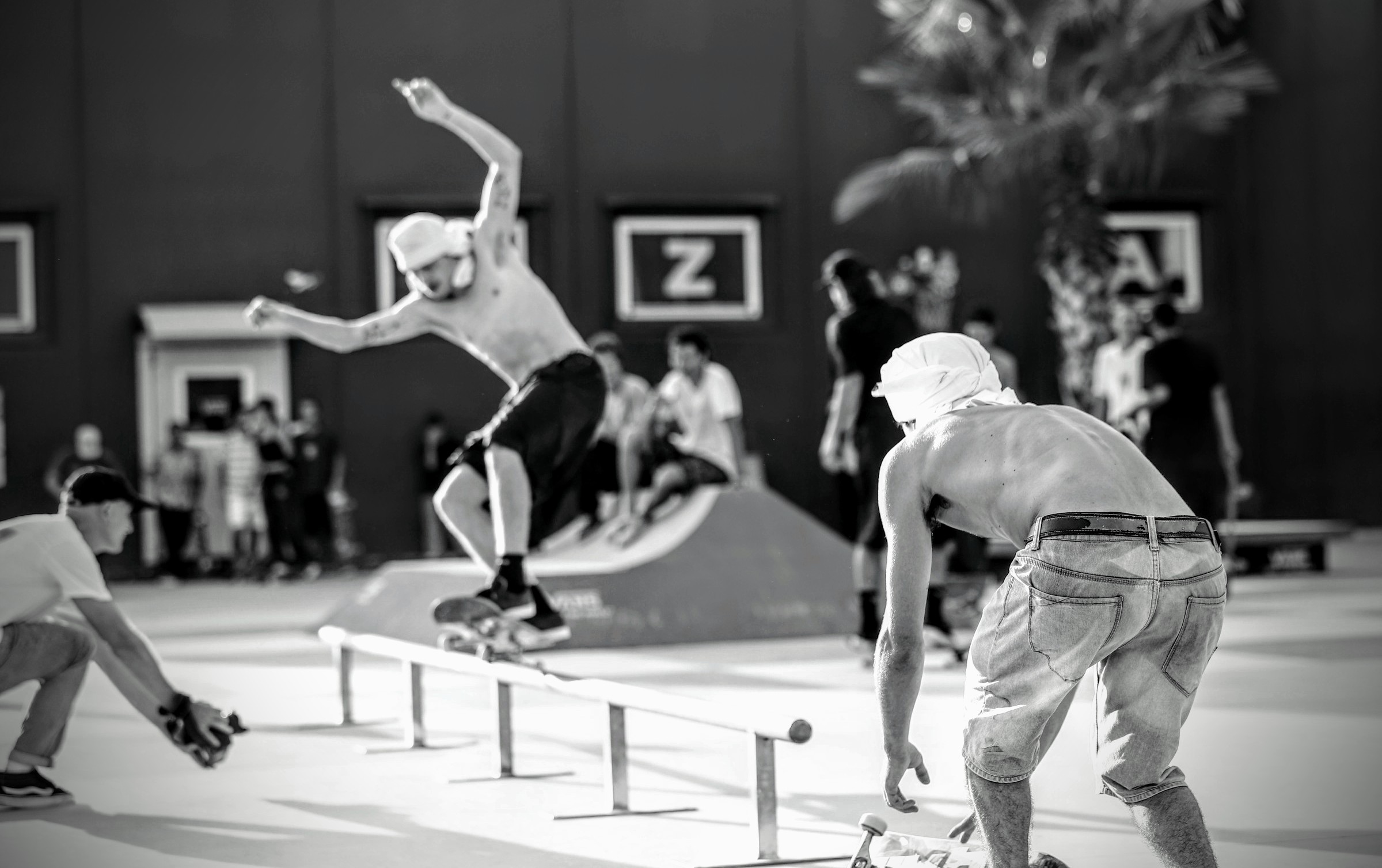 Skatepark Osimo