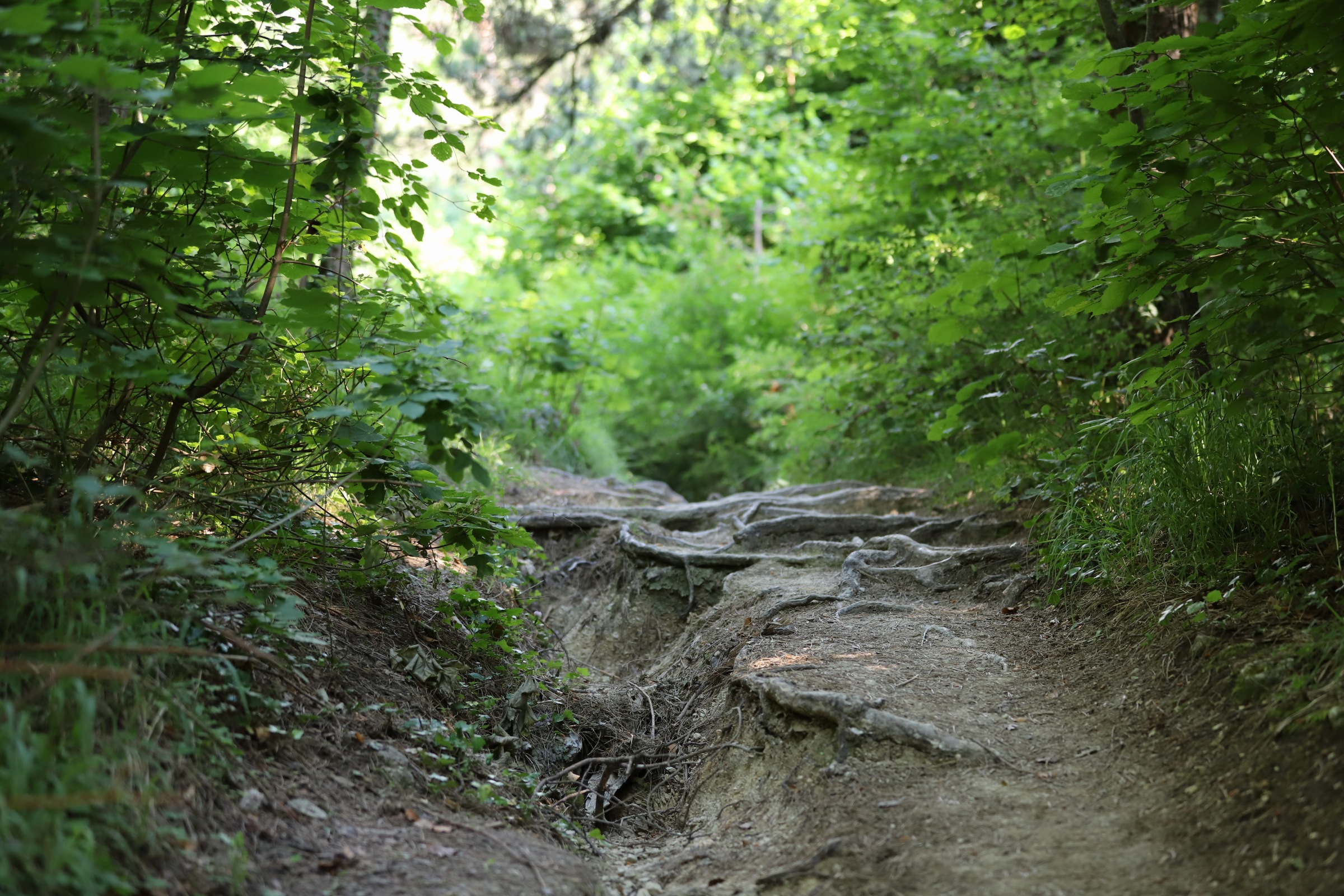 St. Mark's Hill