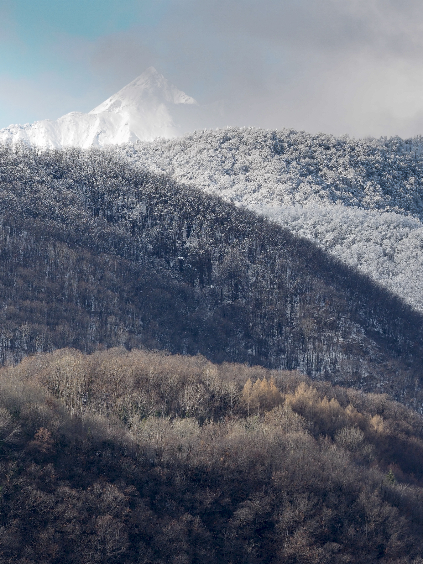 The colors of winter