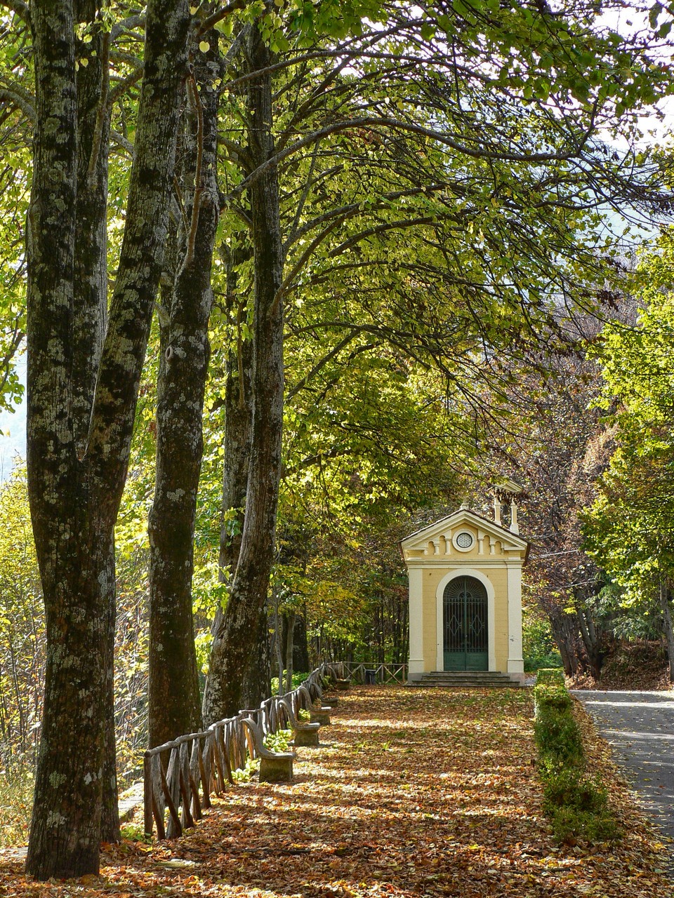 Parco della Forraina (Trecchina,PZ)